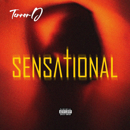 Terror D Unveils “Sensational”